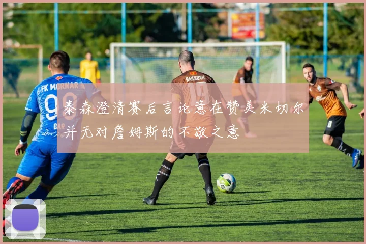 泰森澄清赛后言论意在赞美米切尔并无对詹姆斯的不敬之意