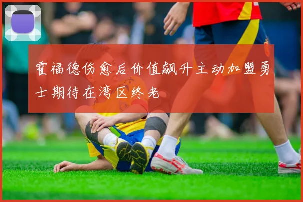 霍福德伤愈后价值飙升主动加盟勇士期待在湾区终老